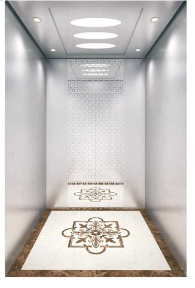 250kg 3m Hydraulic Vertical Lift Passenger for Home Use