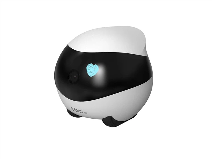 Home Robot