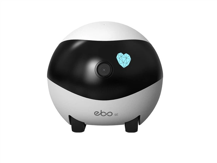 Home Robot