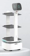 Intelligent Food Delivery Robot T1
