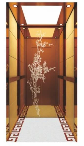 Luxury Passenger Hotel Elevator