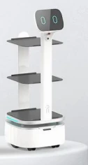 Dinner Delivery Robot