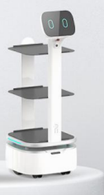 Food Delivery Robot